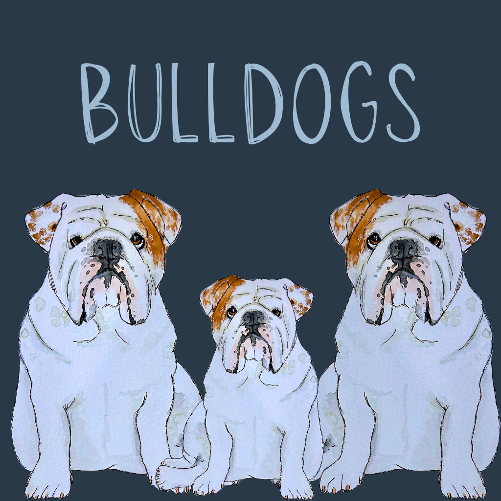 Bulldogs