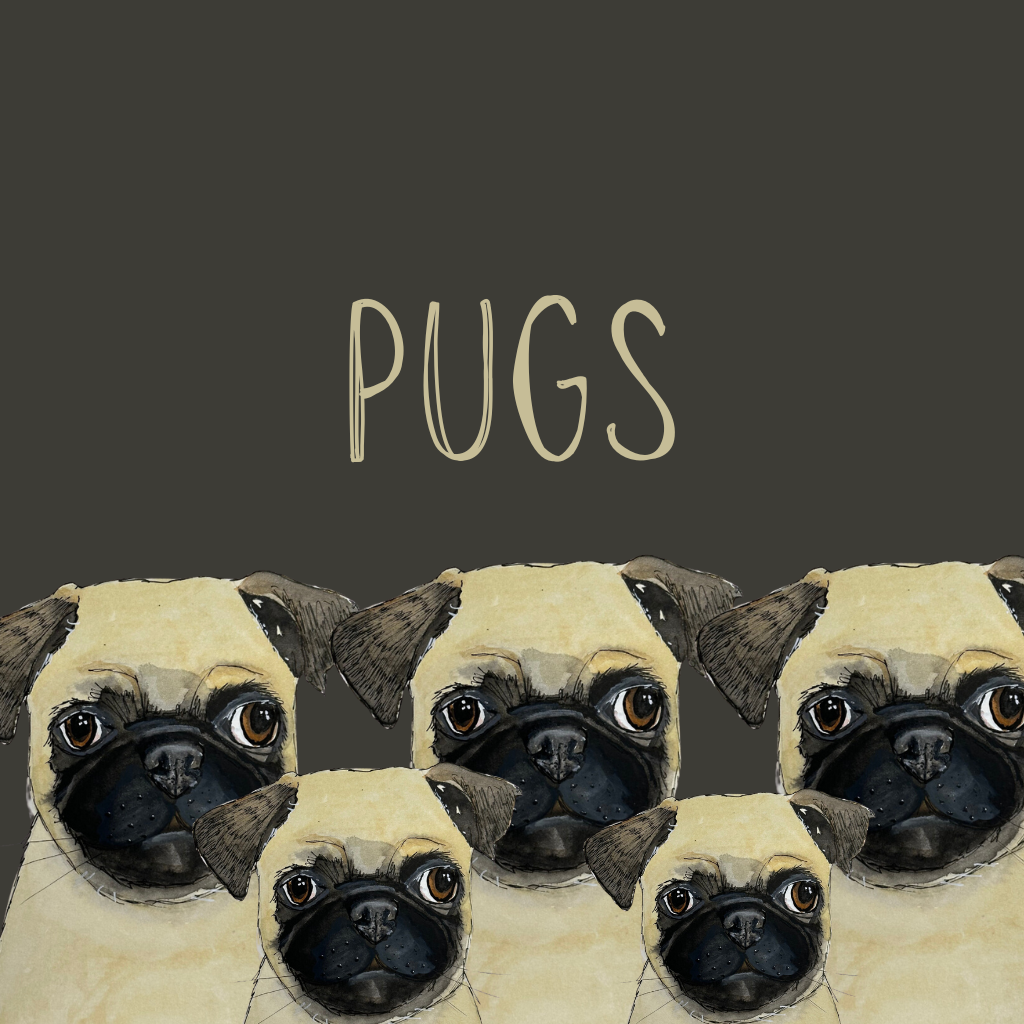 Pugs