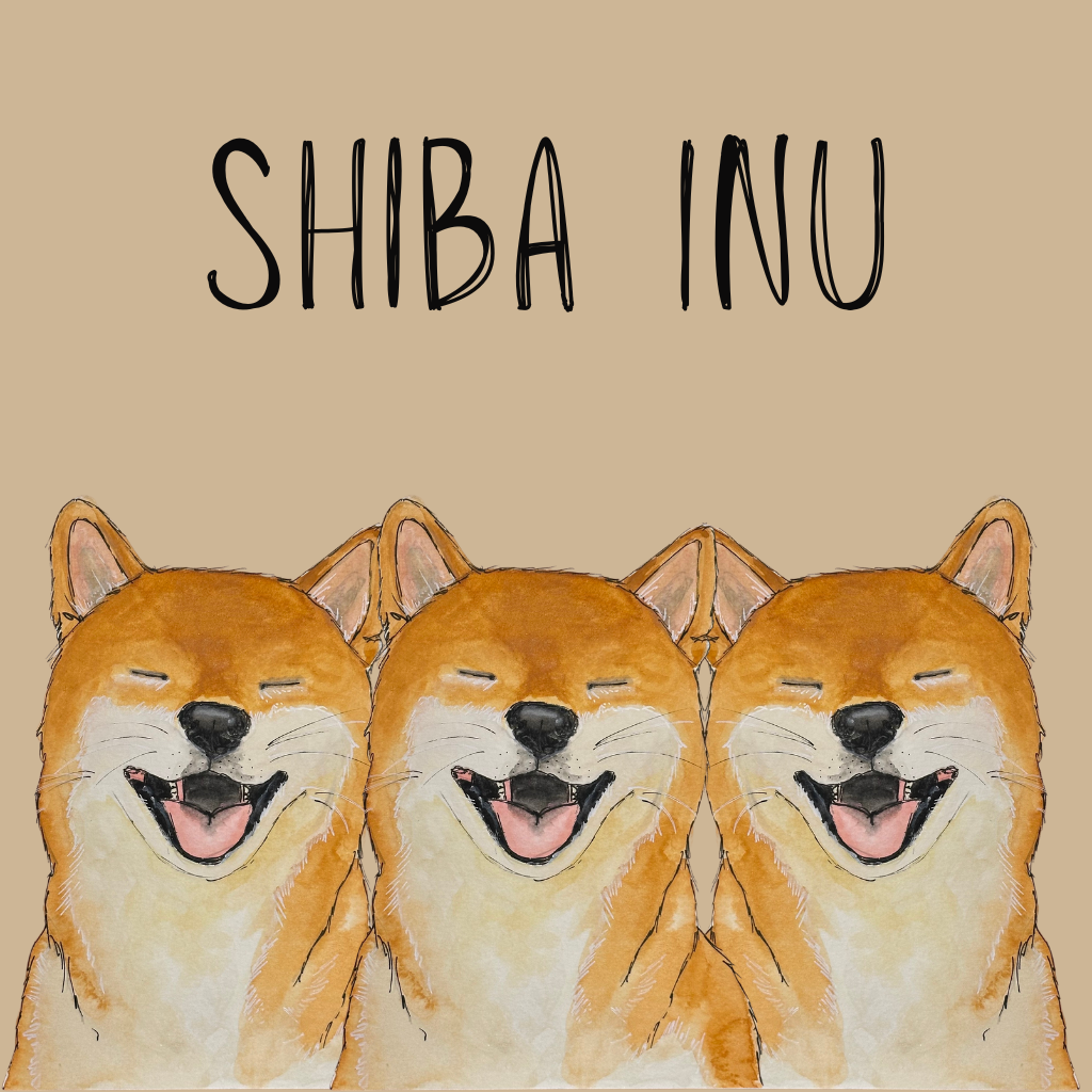 Shiba Inu